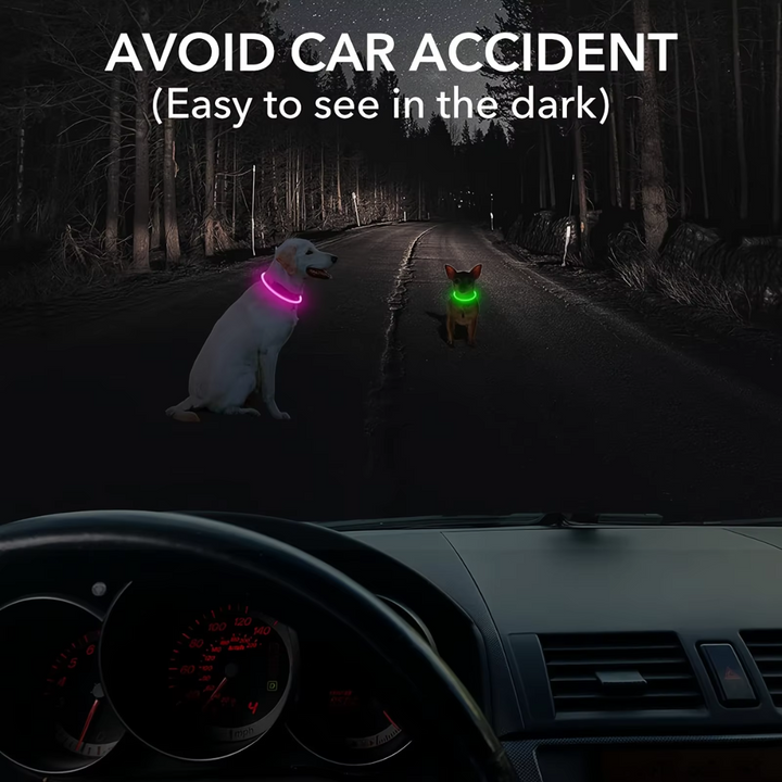 GlowSafe LED Dog Collar – Rechargeable USB Safety Light-Pink-State of Style