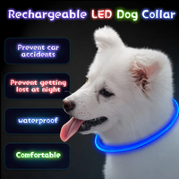 GlowSafe LED Dog Collar – Rechargeable USB Safety Light-Pink-State of Style