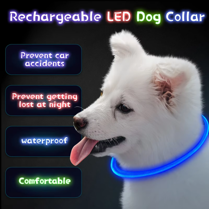 GlowSafe LED Dog Collar – Rechargeable USB Safety Light-Pink-State of Style