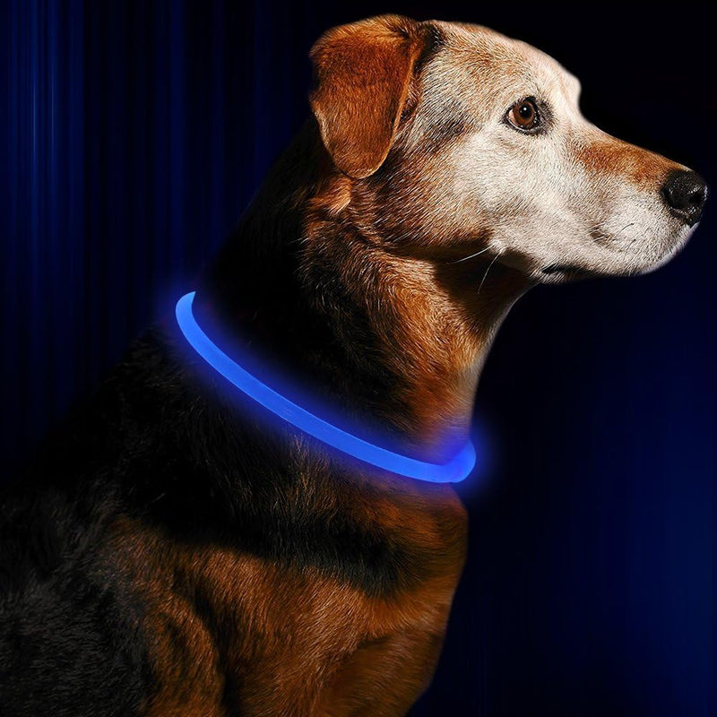 GlowSafe LED Dog Collar – Rechargeable USB Safety Light-Pink-State of Style