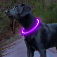 GlowSafe LED Dog Collar – Rechargeable USB Safety Light-Purple-State of Style