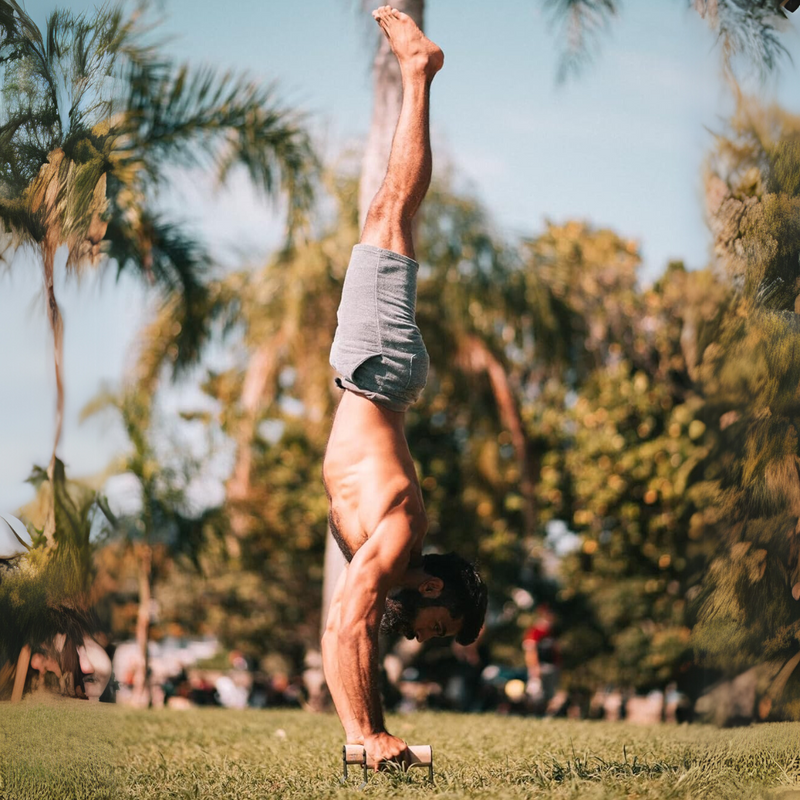 Heavy Wooden Push-Up Handles - Non-slip Parallettes Bars-State of Style