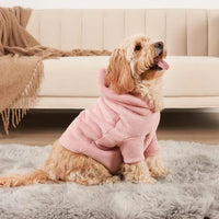 Hoodie Set for Owners and Their Dogs - PawMatch-Small Dog-State of Style