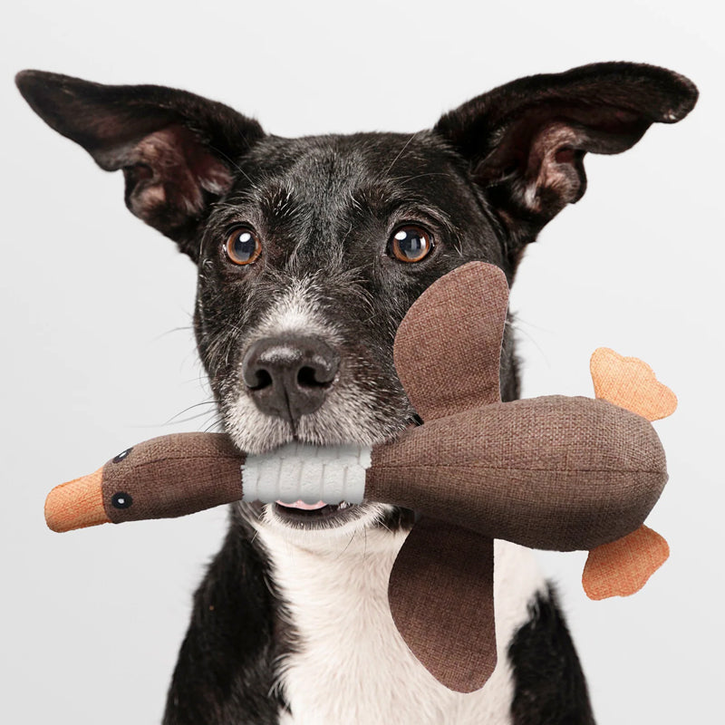 Indestructible Dog Toy (Buy 1, Get 1 FREE) - ToughGoose-Brown (2x)-State of Style