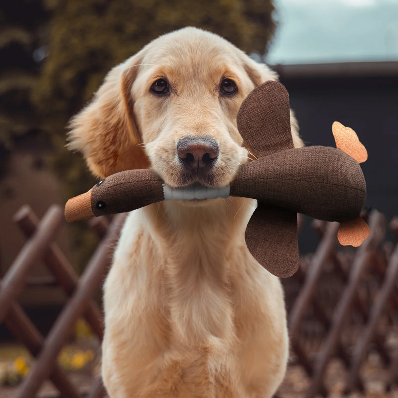 Indestructible Dog Toy (Buy 1, Get 1 FREE) - ToughGoose-Brown (2x)-State of Style
