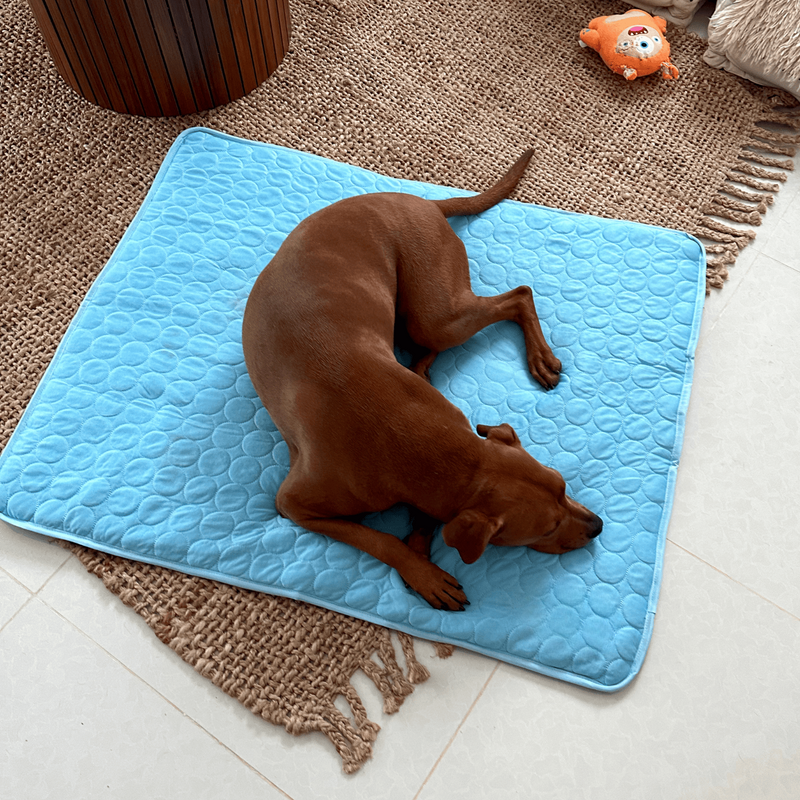 Innovative Cooling Mat for Dogs (4x Cooling Power) - ChillComfort-Light Blue-XS-State of Style