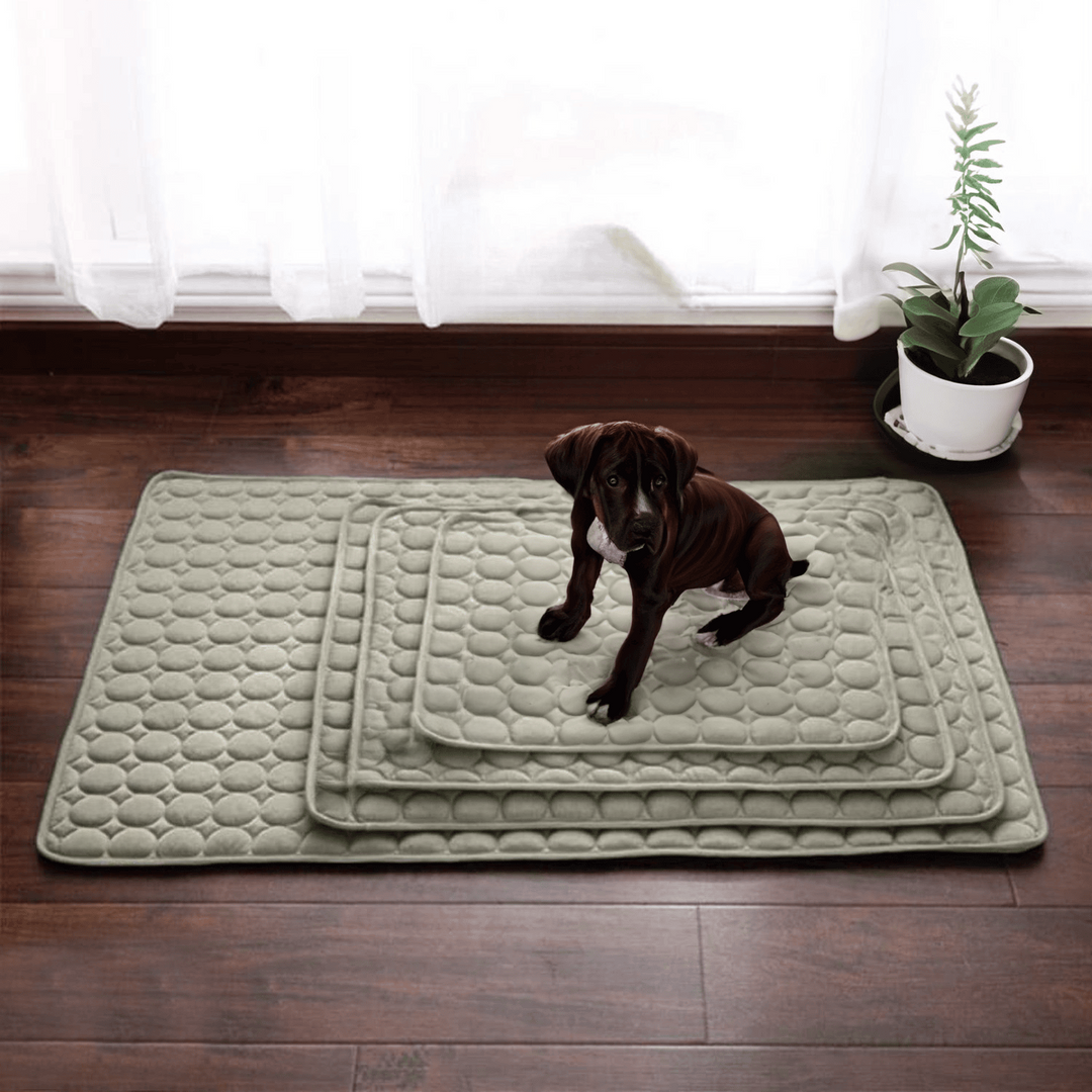 Innovative Cooling Mat for Dogs (4x Cooling Power) - ChillComfort-Light Blue-XS-State of Style