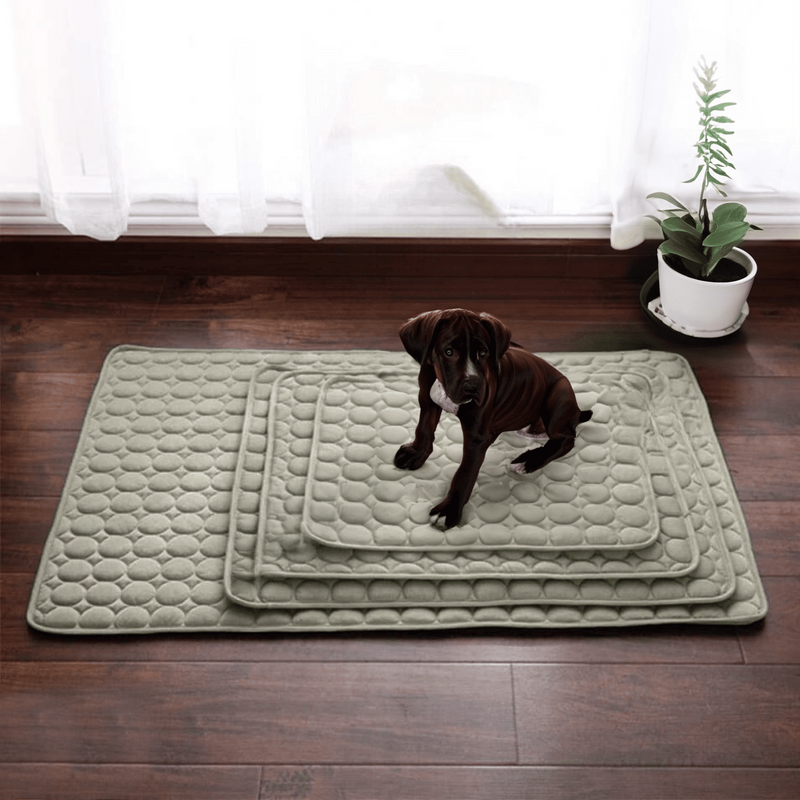 Innovative Cooling Mat for Dogs (4x Cooling Power) - ChillComfort-Light Blue-XS-State of Style