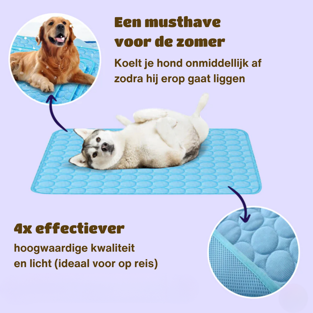 Innovative Cooling Mat for Dogs (4x Cooling Power) - ChillComfort-Light Blue-XS-State of Style