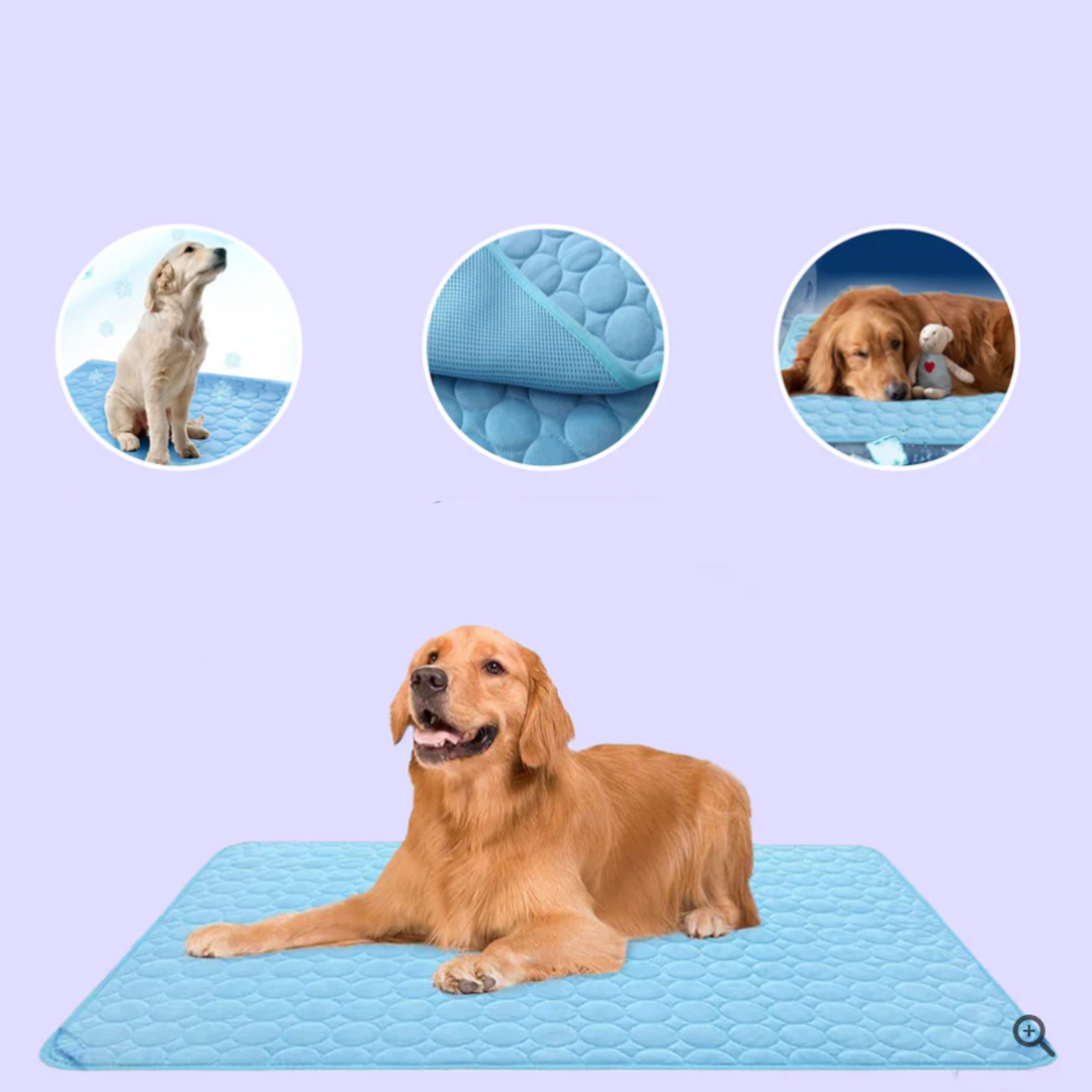 Innovative Cooling Mat for Dogs (4x Cooling Power) - ChillComfort-Light Blue-XS-State of Style