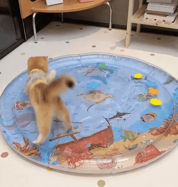 Interactive Cat Playmat - PurrPulse-State of Style