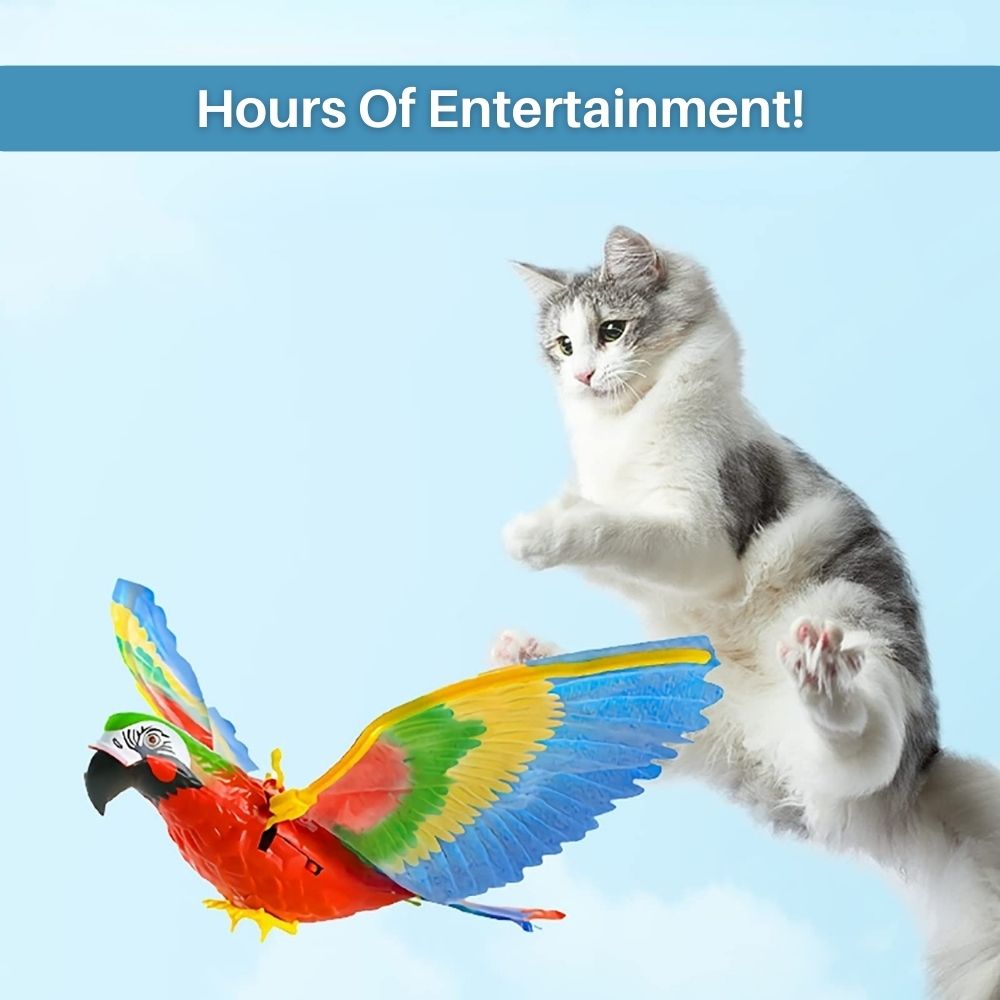 Interactive Cat Toy for Fun and Exercise - FeatherFlight™-Parrot-State of Style