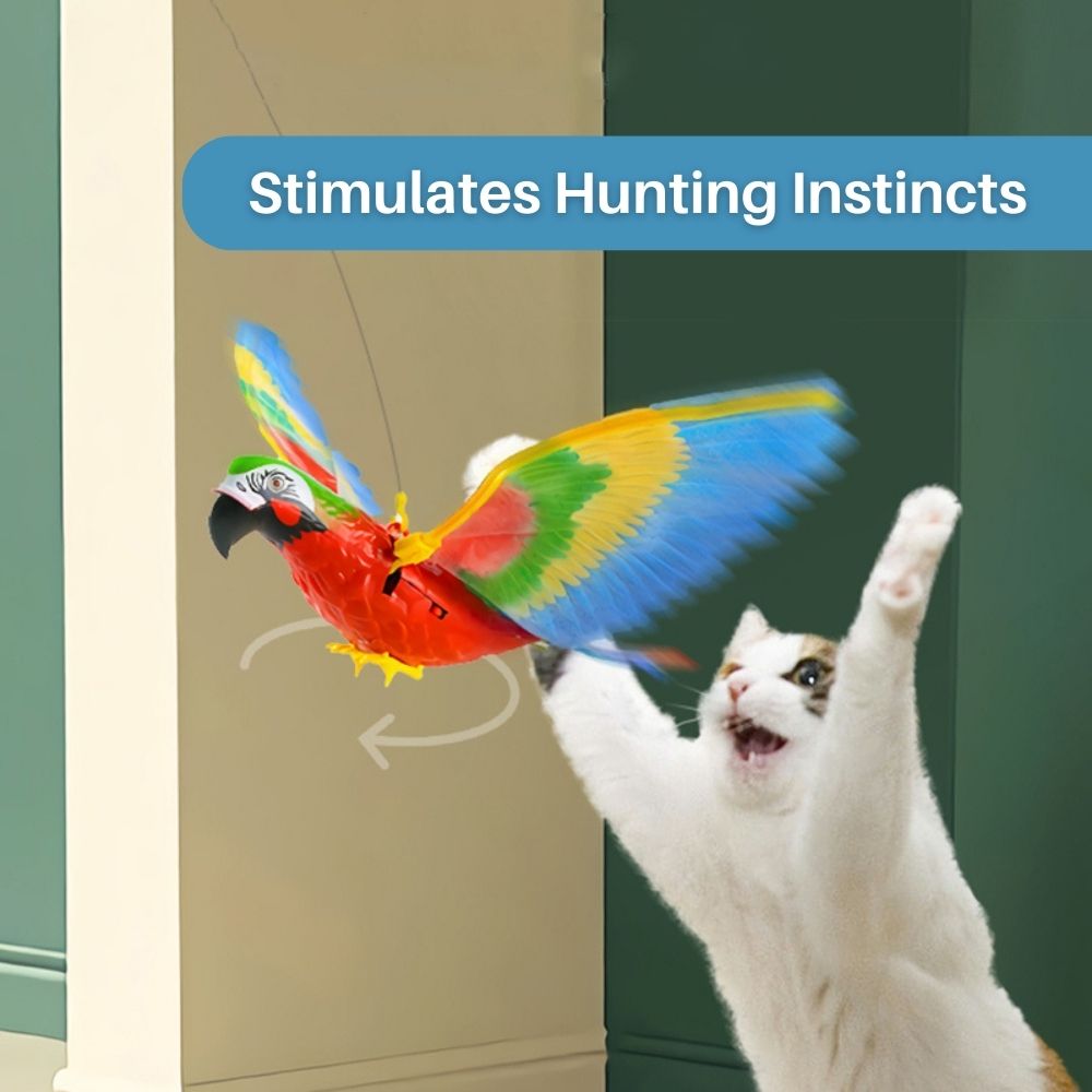 Interactive Cat Toy for Fun and Exercise - FeatherFlight™-Parrot-State of Style
