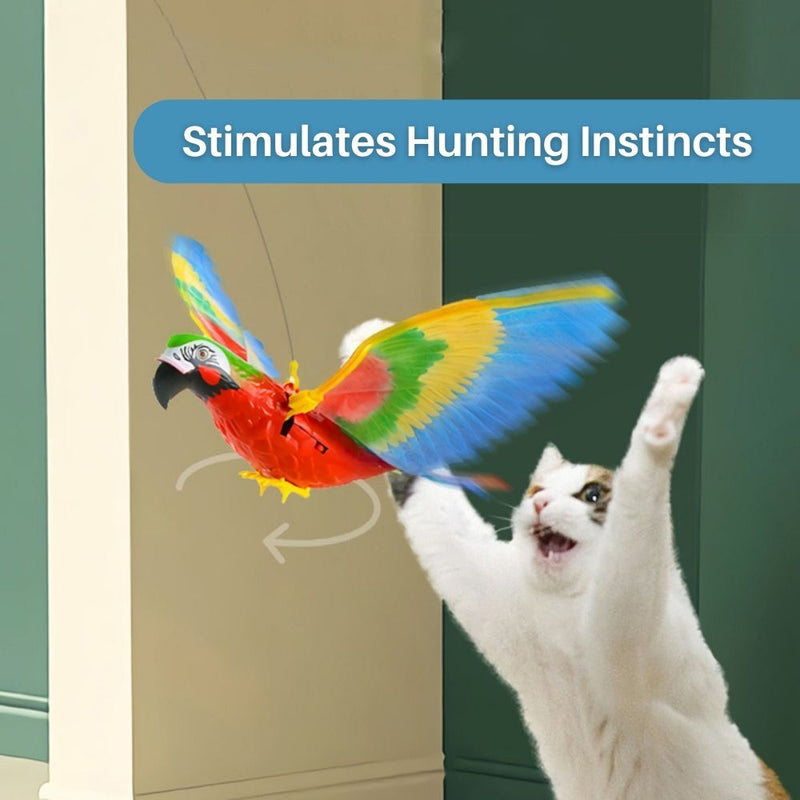Interactive Cat Toy for Fun and Exercise - FeatherFlight™-Parrot-State of Style