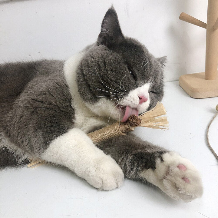 Interactive Chew Sticks for Cats - ChewPlay-State of Style