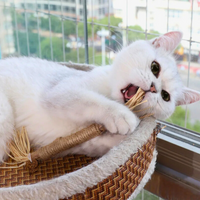 Interactive Chew Sticks for Cats - ChewPlay-State of Style