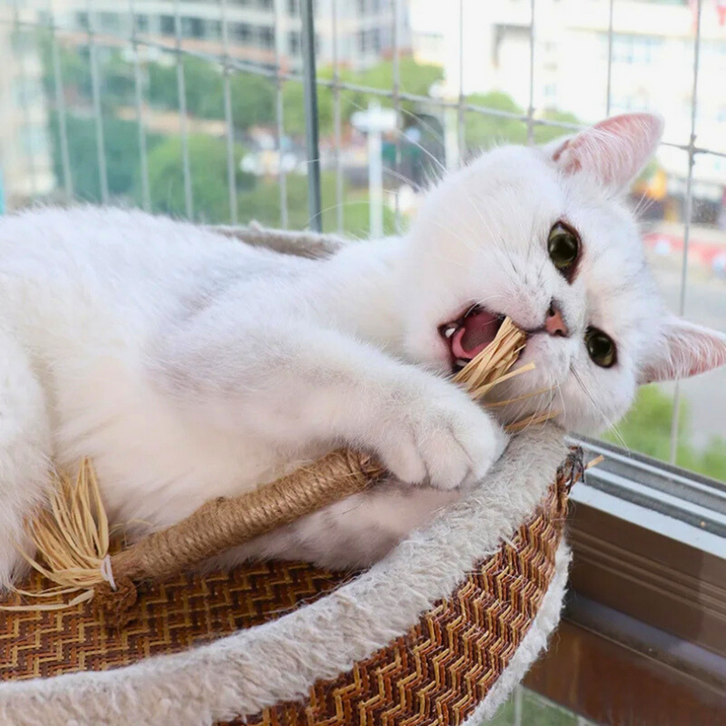 Interactive Chew Sticks for Cats - ChewPlay-State of Style