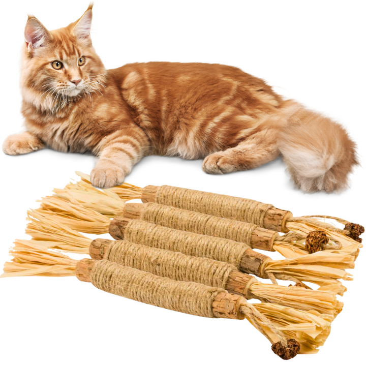 Interactive Chew Sticks for Cats - ChewPlay-State of Style