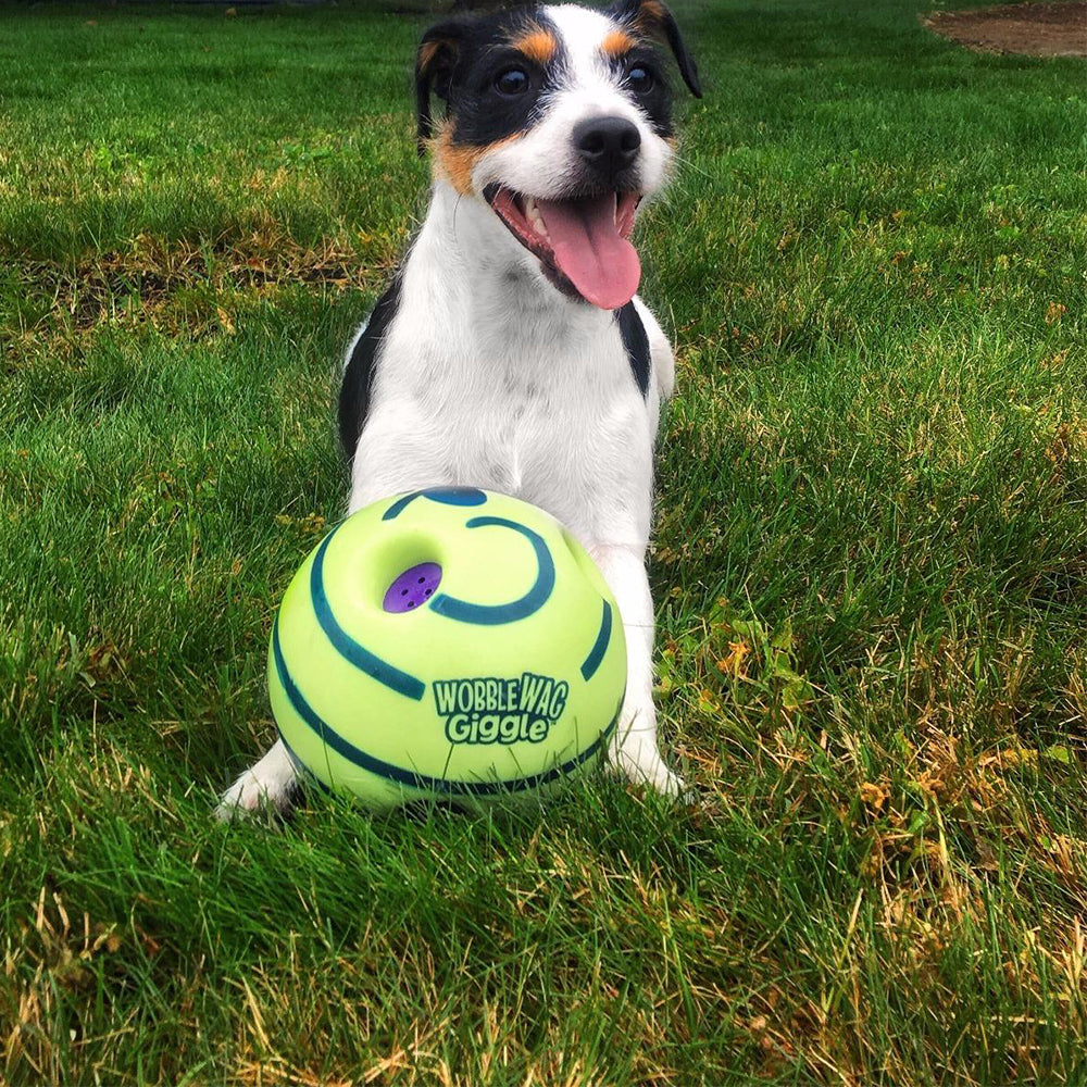 Interactive Dog Ball - GiggleSphere-State of Style