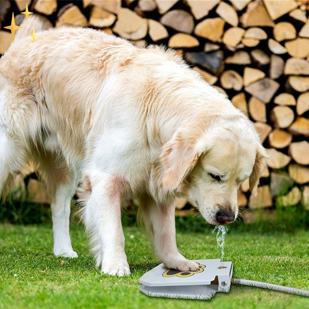 Interactive Dog Fountain Toy - PawSplash-State of Style