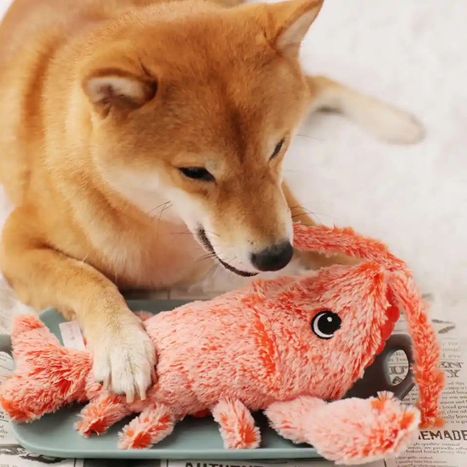 Interactive Dog Toy - BouncyLobster-State of Style