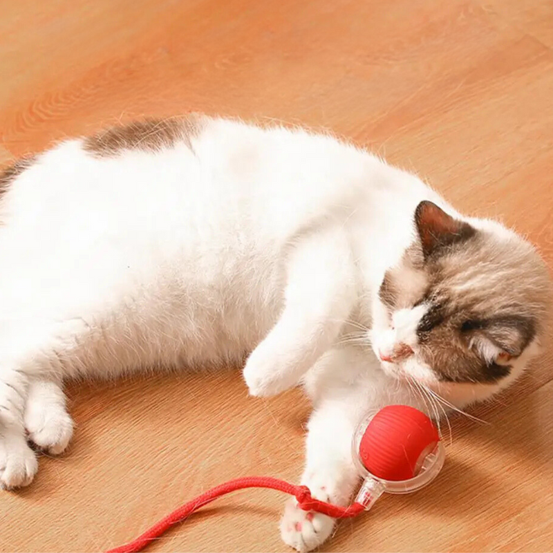 Interactive Hunter Ball for Cats - PouncePal-Red-State of Style