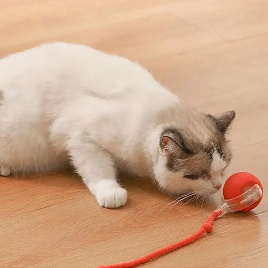 Interactive Hunter Ball for Cats - PouncePal-Red-State of Style