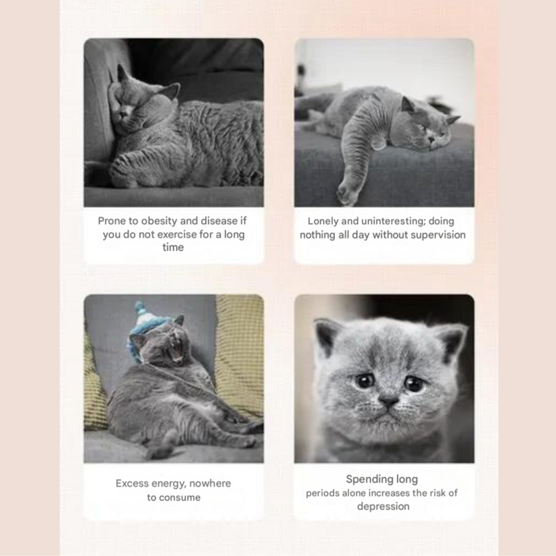 Interactive Laser Cat Toy - LaserPaw-State of Style