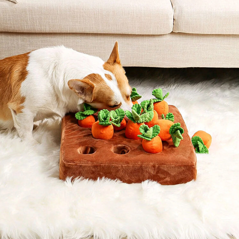 Interactive Snuffle Toy - Sniffer's Carrot Garden-State of Style