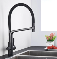 Kitchen Tap with Dual Spout & Water Filtration – PureFlow Duo-Chrome-State of Style