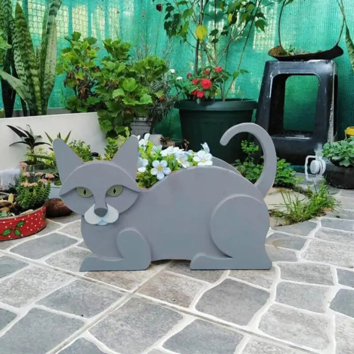 KittyKraft Cat-Shaped DIY Garden Pot-Lion Eye-State of Style
