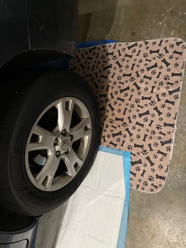 Leak-proof Pet Mat - PetPaws Comfort Mat-Classic-State of Style