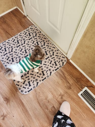 Leak-proof Pet Mat - PetPaws Comfort Mat-Classic-State of Style