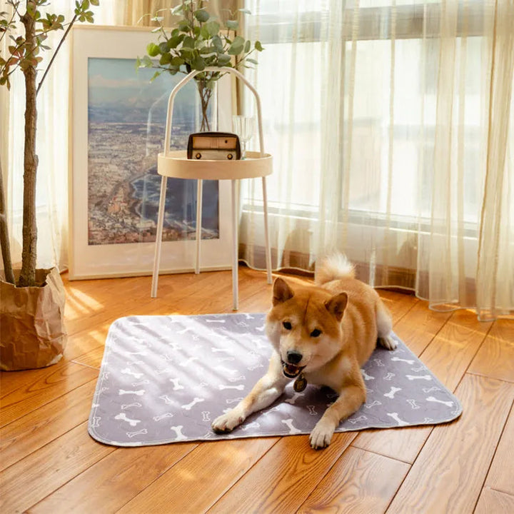 Leak-proof Pet Mat - PetPaws Comfort Mat-Grey-State of Style