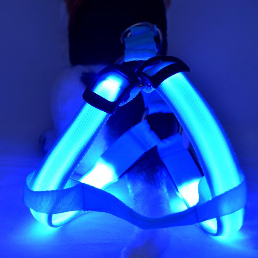 LED Dog Harness - Glow&Go-Blue-XS-State of Style