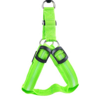LED Dog Harness - Glow&Go-Green-XS-State of Style