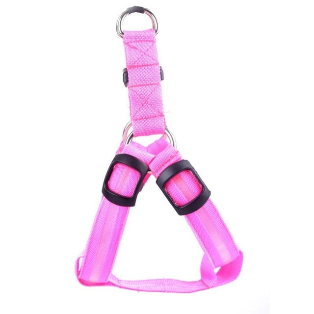 LED Dog Harness - Glow&Go-Pink-XS-State of Style