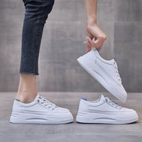 LotteSneaks | Women's Trendy Low-Cut Sneakers-Grey-4.5-State of Style
