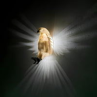 Luminous Wings Wall Lamp - LumaWings-Eagle-State of Style