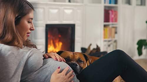 LuxeFit High-Waisted Leggings - Selene-Black-S-State of Style