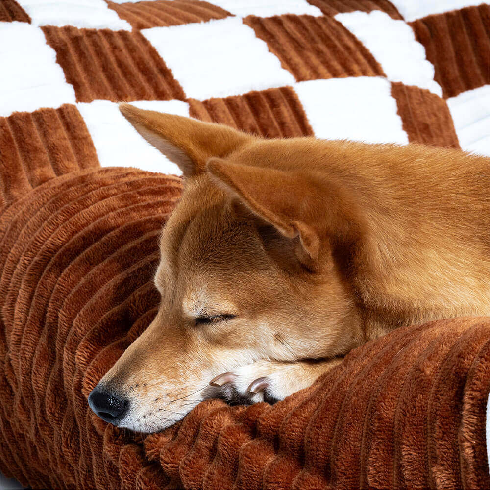 Luxurious Dog Bed Sofa - King's Chillout Sofa-M-Brown-State of Style