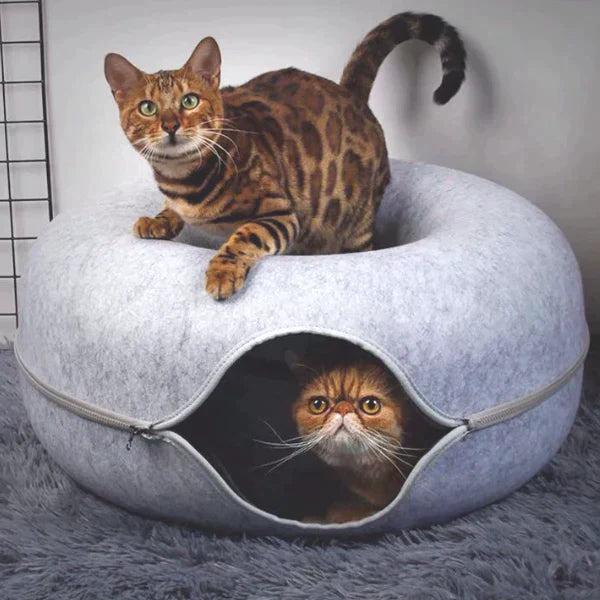 Luxury Cat Bed and Playhouse - WhiskerNest-Black-State of Style