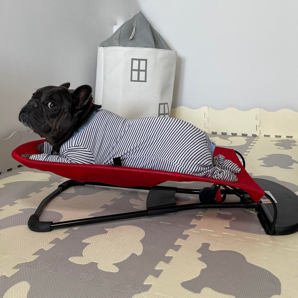 Luxury Rocking Chair for Dogs - Swingo-Red-State of Style