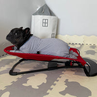 Luxury Rocking Chair for Dogs - Swingo-Red-State of Style