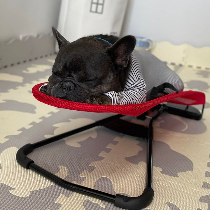 Luxury Rocking Chair for Dogs - Swingo-Red-State of Style