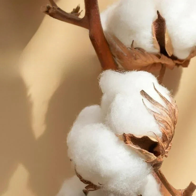 Luxury Satin Bedding Set 4-Piece - OpulenceSleep-Grey-1.5m 200x230cm-State of Style