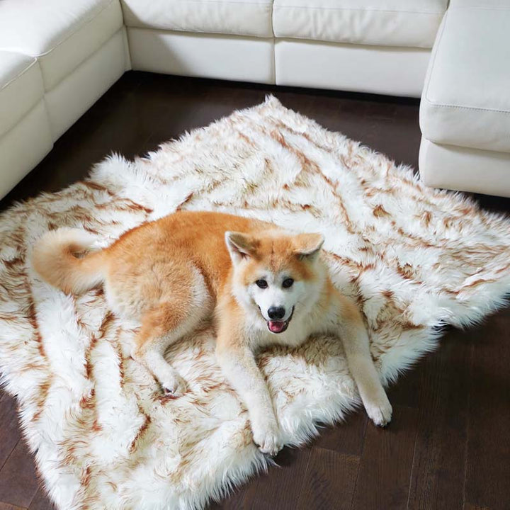 Luxury Waterproof Pet Blanket - CozyPaw™-White/brown-75 x 100 cm-State of Style