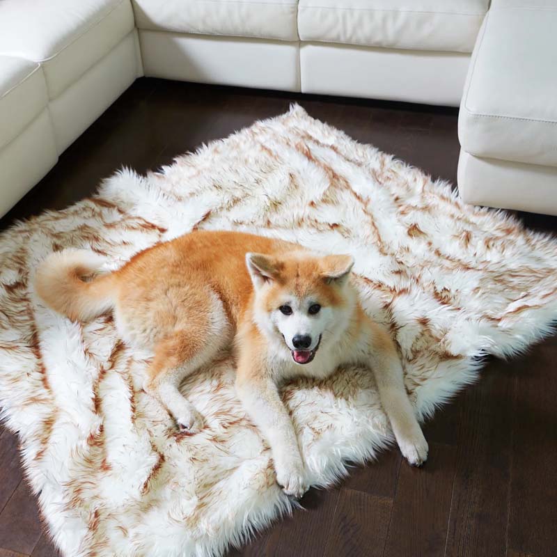 Luxury Waterproof Pet Blanket - CozyPaw™-White/brown-75 x 100 cm-State of Style