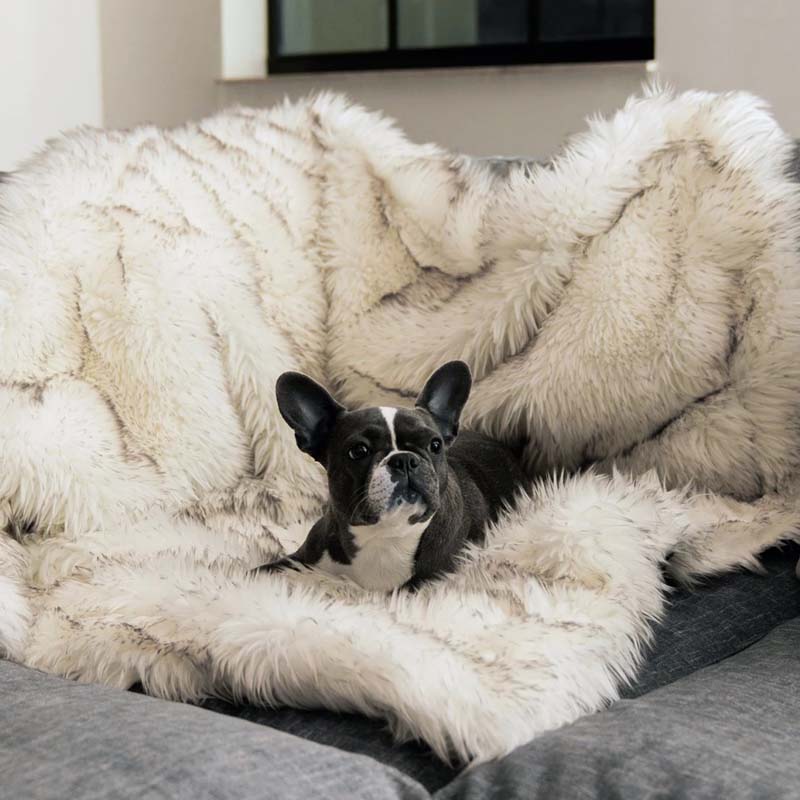 Luxury Waterproof Pet Blanket - CozyPaw™-White/brown-75 x 100 cm-State of Style