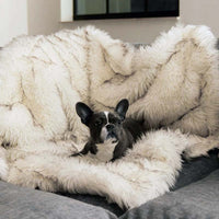 Luxury Waterproof Pet Blanket - CozyPaw™-White/brown-75 x 100 cm-State of Style